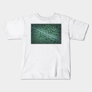 Car on the road going diagonally through the forest top down aerial view Kids T-Shirt